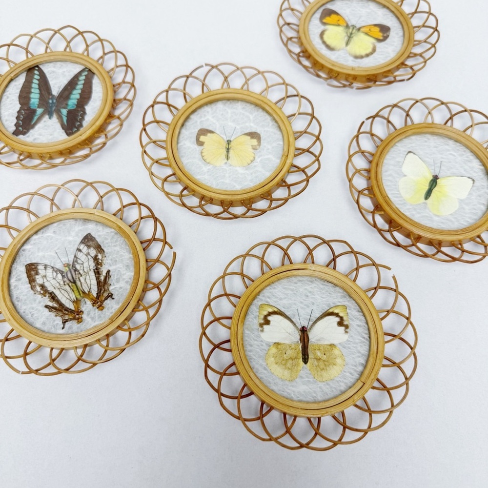 Vintage Real Butterfly Bamboo Coasters